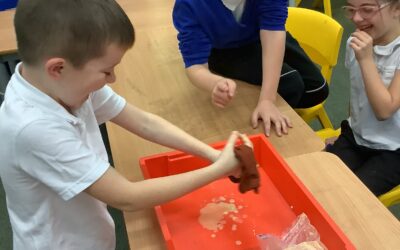 Digestion Demonstration