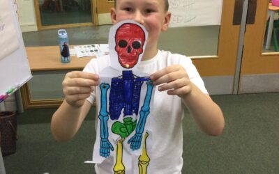 The Human Skeleton