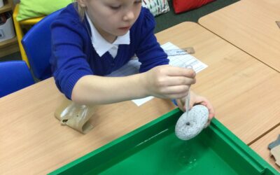 All About Rocks!