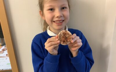 Fossil making