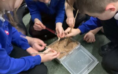 Palaeontologists in the making