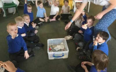 Knowing and learning with nustem