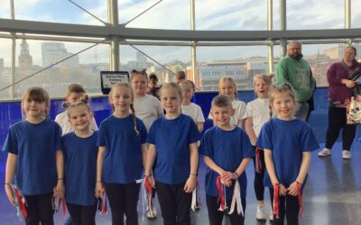 Phenomenal Performance by Year 3