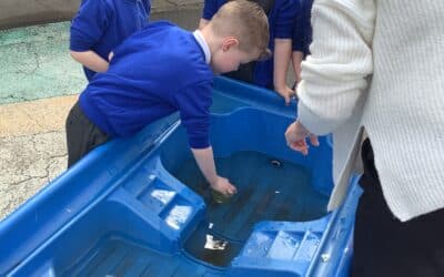 Exploring Capacity