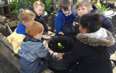 Little Gardeners.