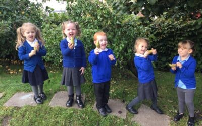 Early Years Harvest 🥕🍐🍏