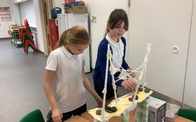 Brilliant Bridges