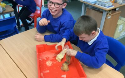 Digestion Demonstration