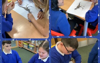 Describing Dinosaurs!