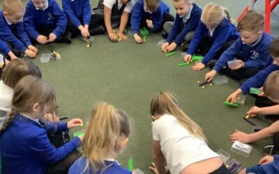 Year One Mathematicians!