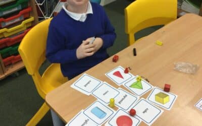 Shape Experts