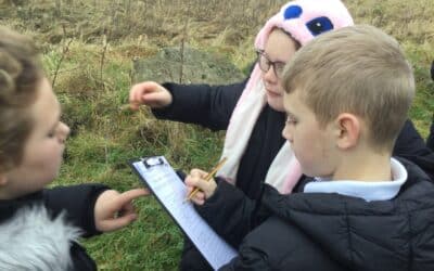 Fieldwork Fun