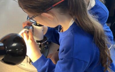 Year 5 Science Week Workshop at Lord Lawson of Beamish Academy