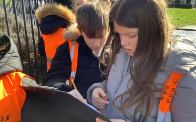 Geography Field Trip
