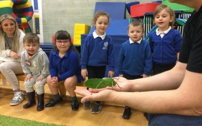 Nursery Explore Bugs!