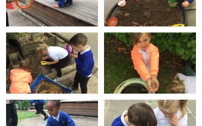Nursery Love Mini Beasts!